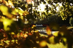 Brands-0H5A2772