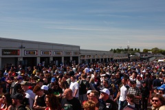 Pitwalk-0094A1593