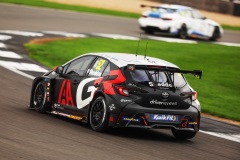 Shedden-072A7767